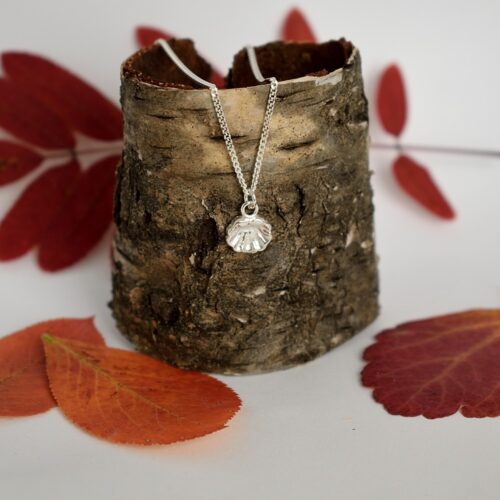 Kuvassa on pikkuruinen hopeinen simpukankuoreksi muotoiltu lusikkariipus.