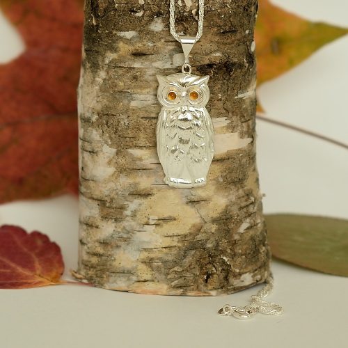 Kuvassa hopeaketjussa ihastuttava pieni hopeinen keltasilmäinen pöllö.